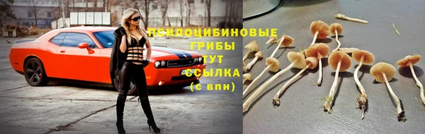 марки nbome Армянск