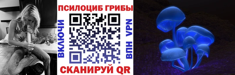 где купить   Новоалтайск  Галлюциногенные грибы мухоморы 